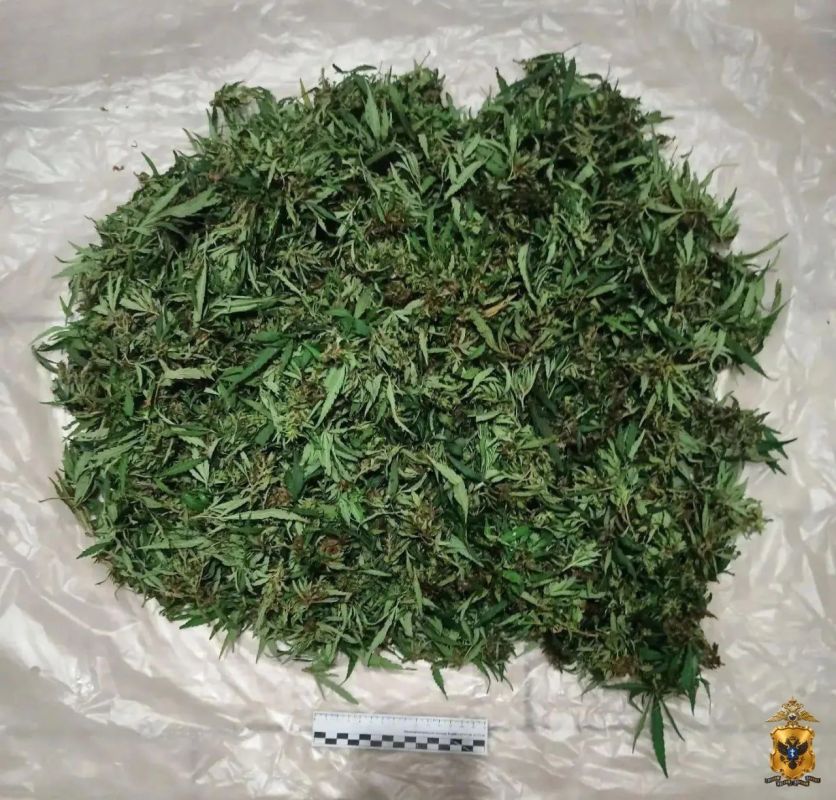В Каховском округе полицейские изъяли у местного жителя крупную партию марихуаны В Каховском округе полицейские изъяли у местного жителя крупную партию марихуаны