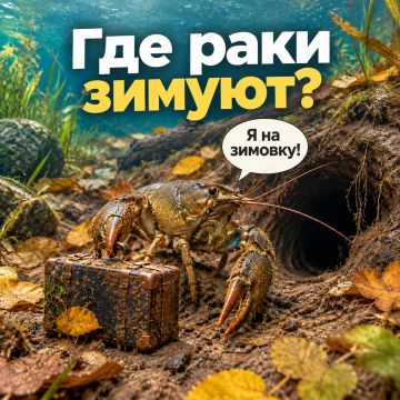 ��� ���� ������?. . � ������������ ������� ���� � ������� ���������� ������� �� ��������: ������� ������ ��� ������������ � ������ �������, ��������� ����� ������� � �������� ��� ������� ����� ����