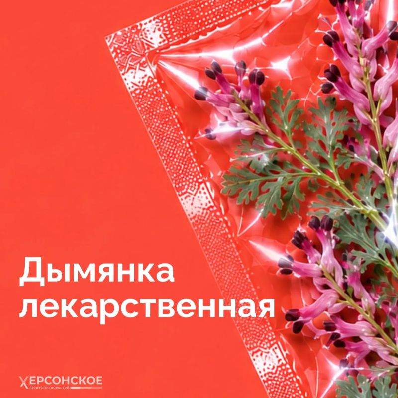 Мы привыкли думать, что опасные растения где-то далеко, в тропиках или глухой тайге Мы привыкли думать, что опасные растения где-то далеко, в тропиках или глухой тайге