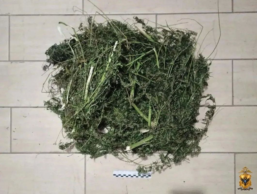 В Каховском округе полицейские изъяли у местного жителя крупную партию марихуаны В Каховском округе полицейские изъяли у местного жителя крупную партию марихуаны