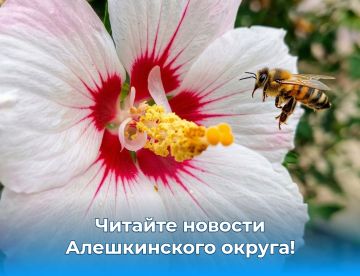 Оставайтесь в центре событий Алешкинского округа!