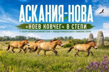 «Ноев ковчег» в степи. . Аскания-Нова в Херсонской области — старейший заповедник в СНГ