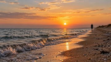 Ученые предлагают выращивать устриц в Азовском море