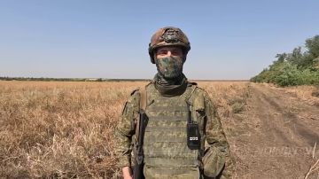«Медведь»: от Херсона до Запорожского направления