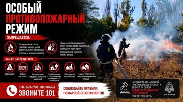 Сотрудники государственного пожарного надзора МЧС России напоминают: на территории региона действуют дополнительные требования пожарной безопасности