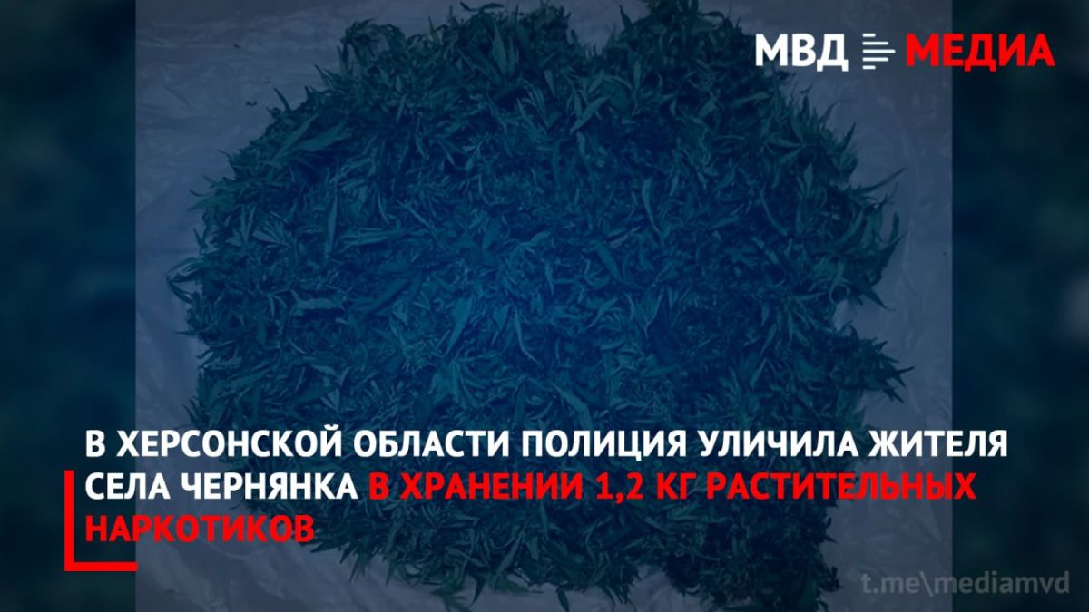 В Херсонской области полиция уличила жителя села Чернянка в хранении 1,2 кг растительных наркотиков