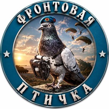 ФРОНТОВАЯ ПТИЧКА С ПЕРВОГО ДНЯ НА СВО