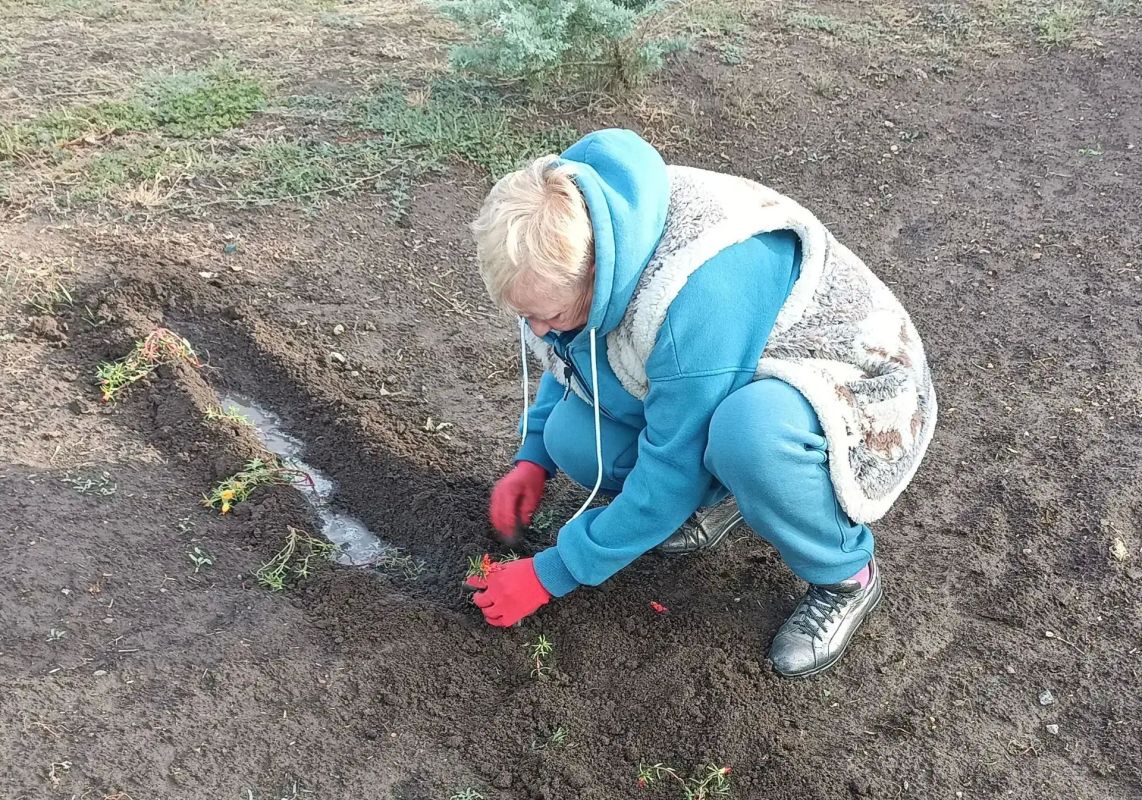В Богдановке прошёл субботник по посадке цветов В Богдановке прошёл субботник по посадке цветов