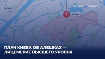 Плач Киева об Алешках — лицемерие высшего уровня