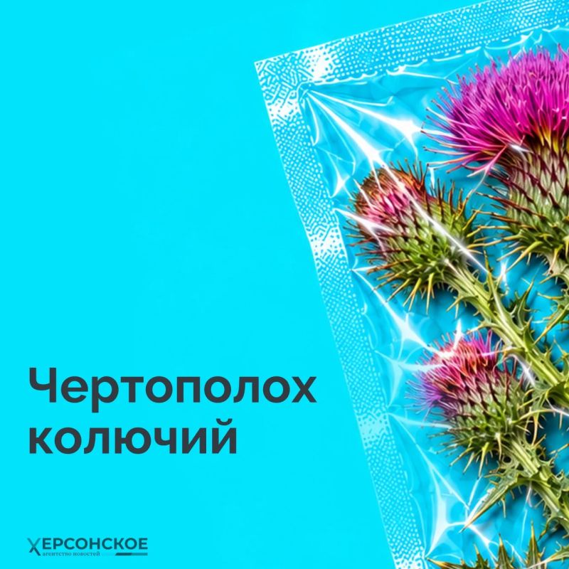 Яркие ягоды, колючие кусты и обычные сорняки — казалось бы, что в них опасного? Но некоторые из них могут серьезно навредить! Яркие ягоды, колючие кусты и обычные сорняки — казалось бы, что в них опасного? Но некоторые из них могут серьезно навредить!