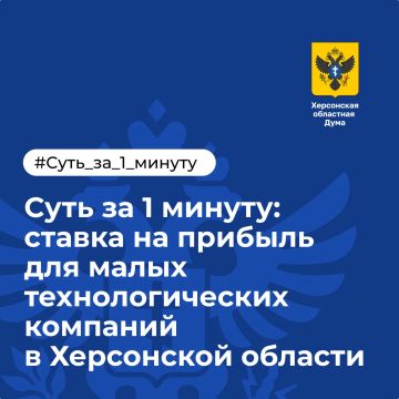 Суть за 1 минуту: ставка налога на прибыль для малых технологических компаний в Херсонской области
