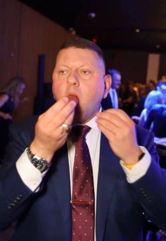«Пана генерала ще можна вивести з села, але село з пана генерала — ніколи»: Залужного раскритиковали на украинских ресурсах за странное фото