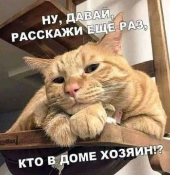 16% россиян тратят на своих питомцев больше, чем на себя