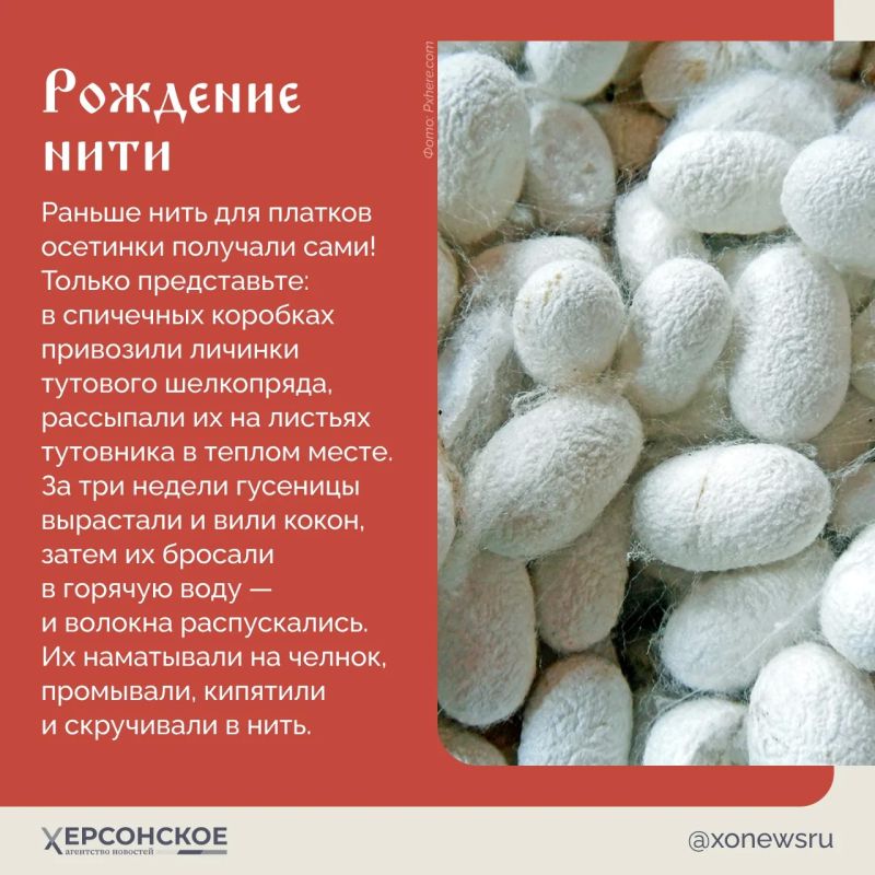 На невесте в день свадьбы мы привыкли видеть белую фату, а в Осетии один из главных свадебных символов плетут вручную из тончайшей шелковой нити! На невесте в день свадьбы мы привыкли видеть белую фату, а в Осетии один из главных свадебных символов плетут вручную из тончайшей шелковой нити!