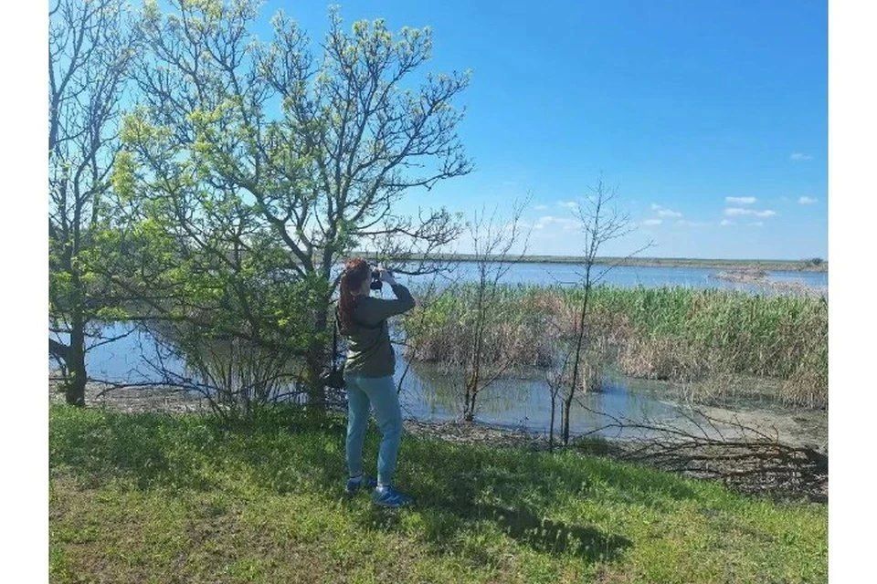 В Херсонской области создадут 16 охраняемых природных территорий