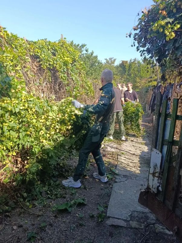 Добрые дела — лучший подарок к празднику Добрые дела — лучший подарок к празднику