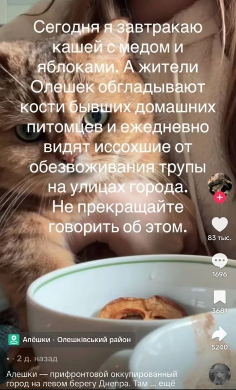 Алёшки: В TikTok уже назначили виновных в блокаде города Алёшки: В TikTok уже назначили виновных в блокаде города