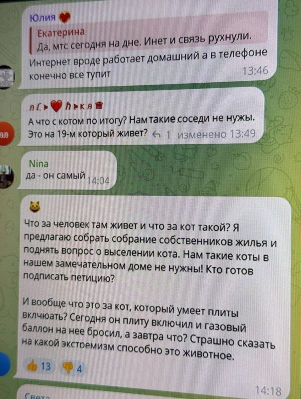 Жильцы многоэтажки в Одинцово требуют выселить кота, которого винят во взрыве бытового газа
