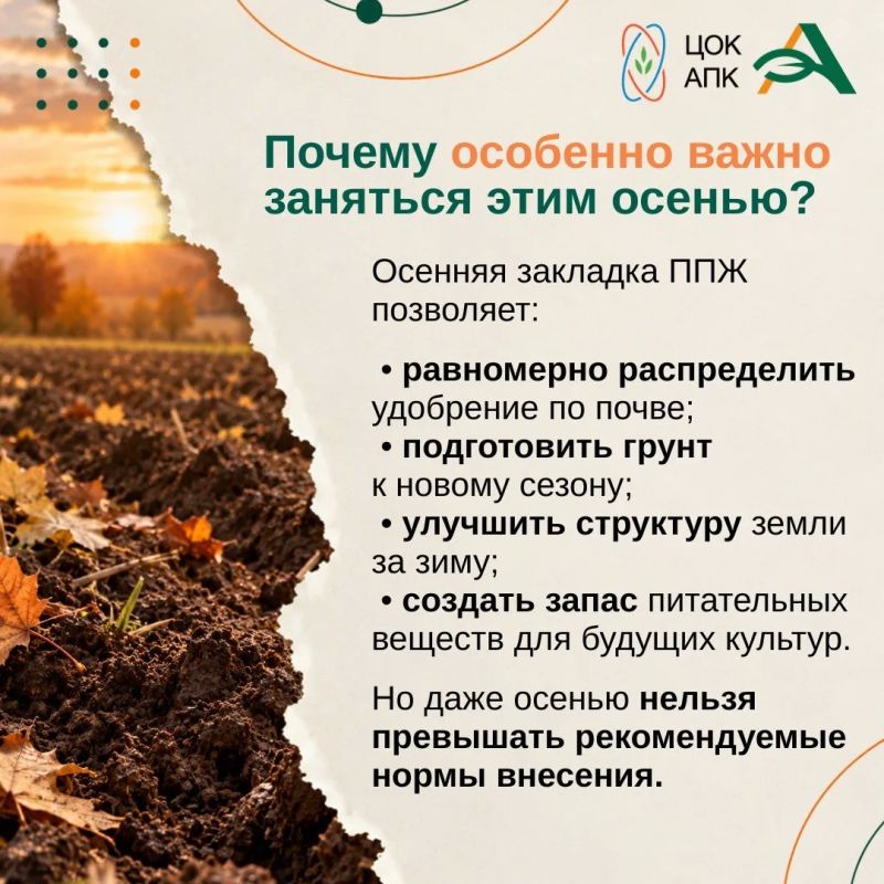 Осень — это не только завершение сезона, но и важный этап подготовки почвы к будущему урожаю Осень — это не только завершение сезона, но и важный этап подготовки почвы к будущему урожаю