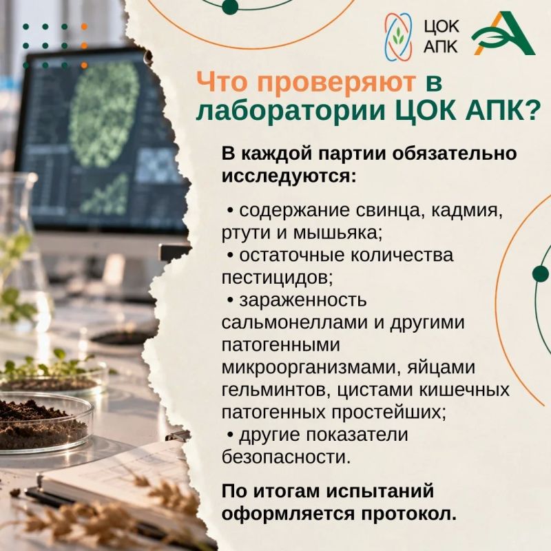 Осень — это не только завершение сезона, но и важный этап подготовки почвы к будущему урожаю Осень — это не только завершение сезона, но и важный этап подготовки почвы к будущему урожаю