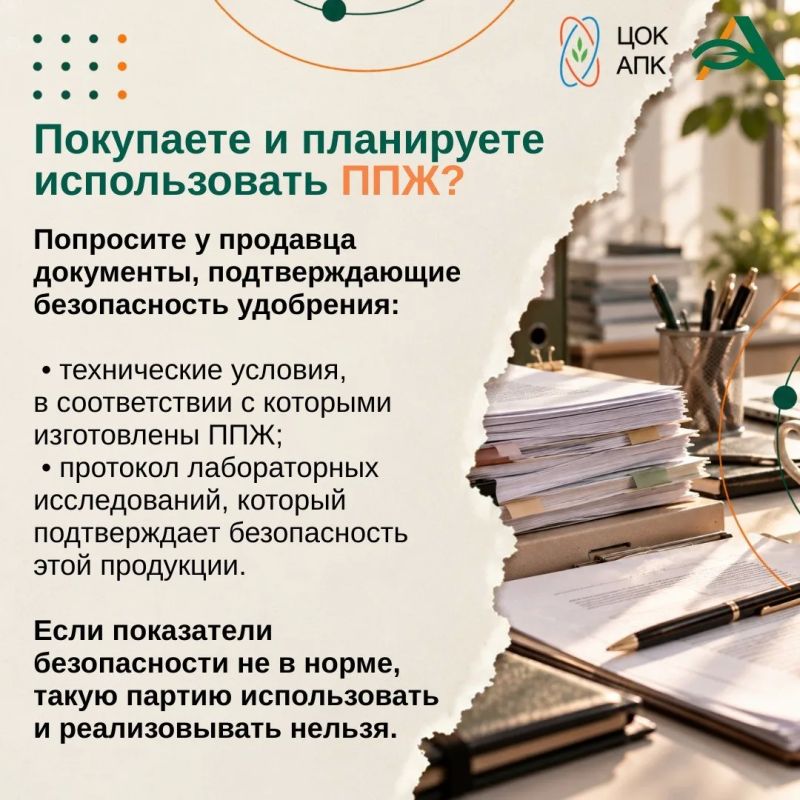 Осень — это не только завершение сезона, но и важный этап подготовки почвы к будущему урожаю Осень — это не только завершение сезона, но и важный этап подготовки почвы к будущему урожаю