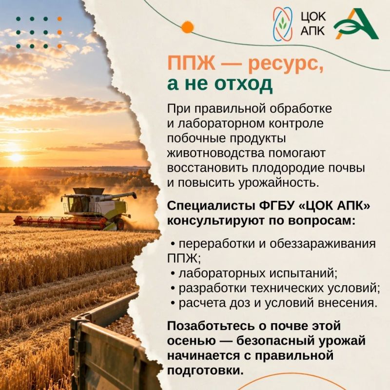 Осень — это не только завершение сезона, но и важный этап подготовки почвы к будущему урожаю Осень — это не только завершение сезона, но и важный этап подготовки почвы к будущему урожаю