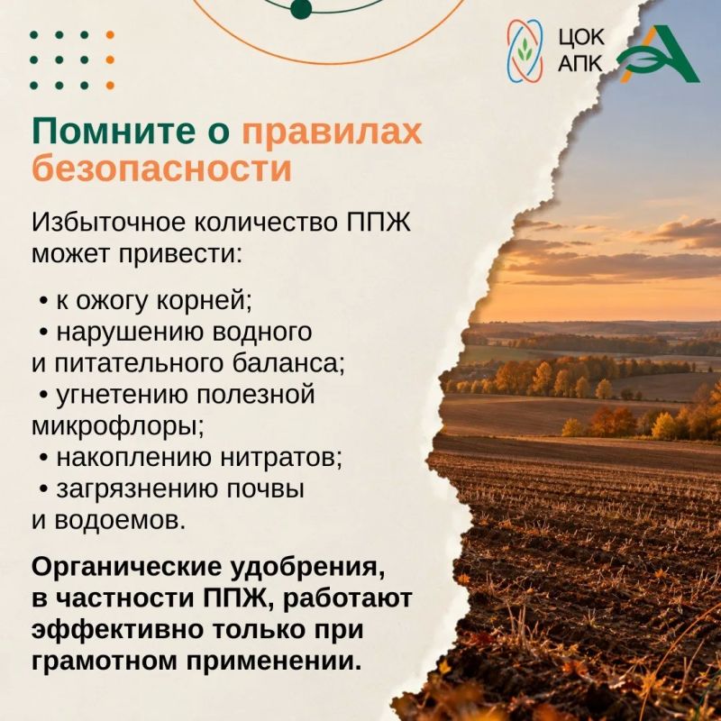 Осень — это не только завершение сезона, но и важный этап подготовки почвы к будущему урожаю Осень — это не только завершение сезона, но и важный этап подготовки почвы к будущему урожаю