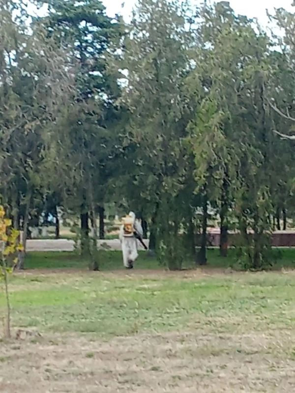 В населённых пунктах Чаплинского муниципального округа продолжаются работы по акарицидной обработке В населённых пунктах Чаплинского муниципального округа продолжаются работы по акарицидной обработке