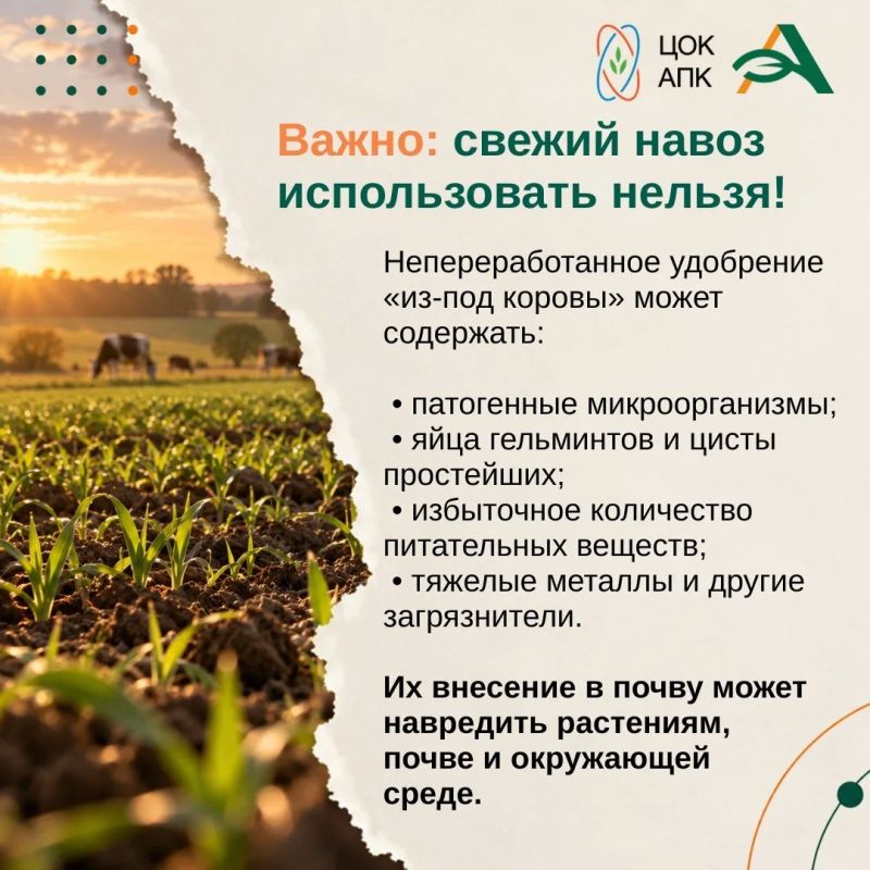Осень — это не только завершение сезона, но и важный этап подготовки почвы к будущему урожаю Осень — это не только завершение сезона, но и важный этап подготовки почвы к будущему урожаю