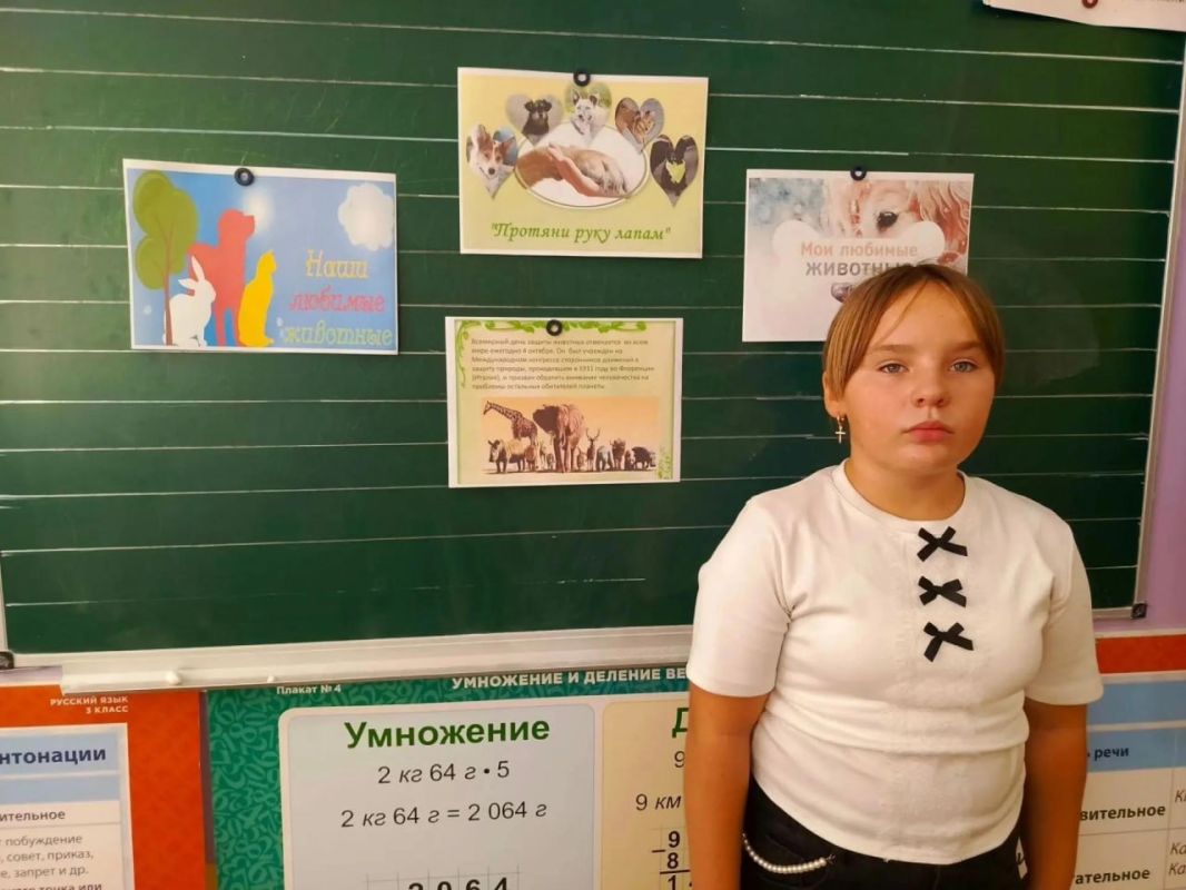 В Скадовской школе №1 прошло мероприятие, посвящённое Дню защиты животных В Скадовской школе №1 прошло мероприятие, посвящённое Дню защиты животных