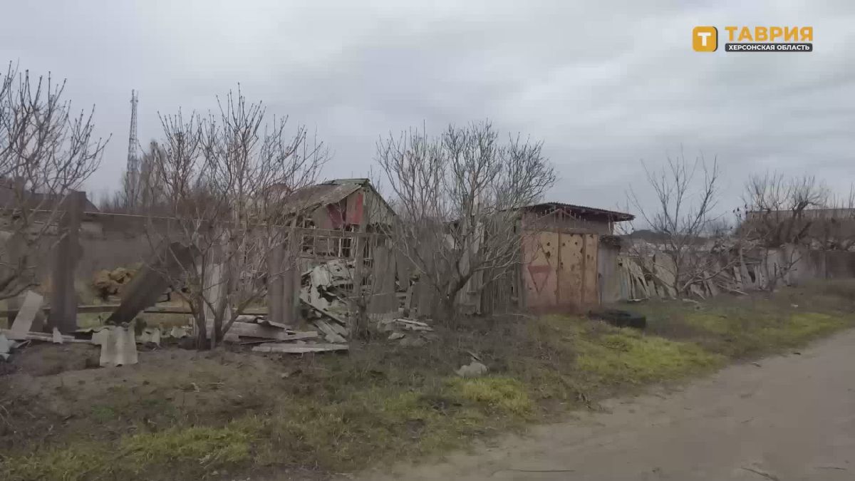 "Мы были рады, что вернулись домой": жительница Алешек — о воссоединении региона с Россией