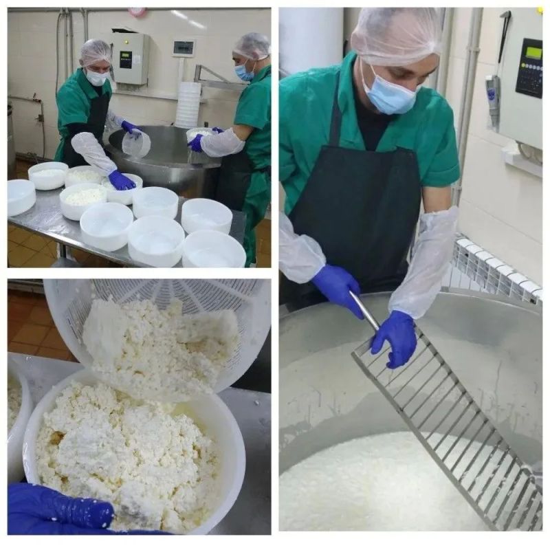 От поля до прилавка. Херсонская компания сыров из козьего молока ООО «Агробизнес» получила сертификат «Сделано в России» на всю свою продукцию под брендом ALPINA От поля до прилавка. Херсонская компания сыров из козьего молока ООО «Агробизнес» получила сертификат «Сделано в России» на всю свою продукцию под брендом ALPINA