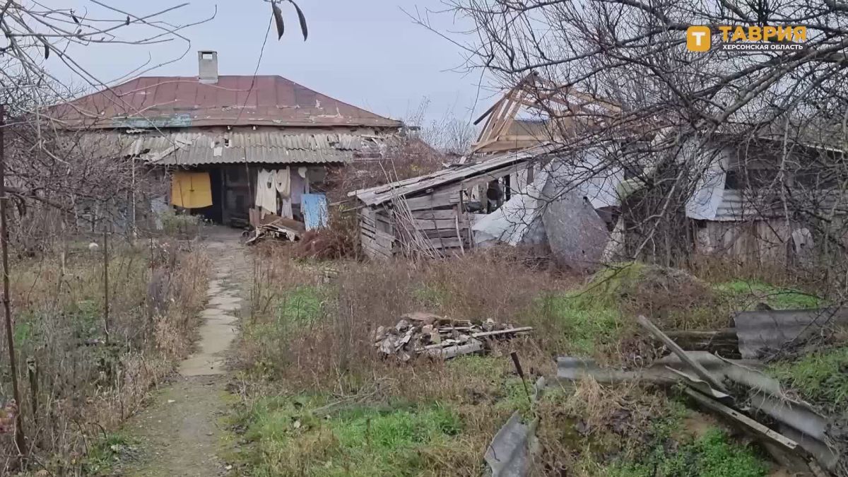 "Приезжайте и посмотрите": Владимир Сальдо пригласил международные организации в Алешки и другие населенные пункты на Днепре