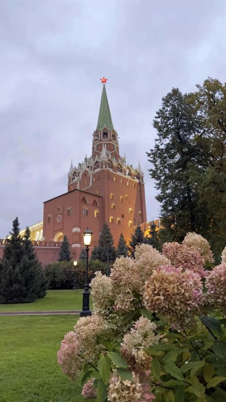 Тихий осенний вечер приходит Тихий осенний вечер приходит