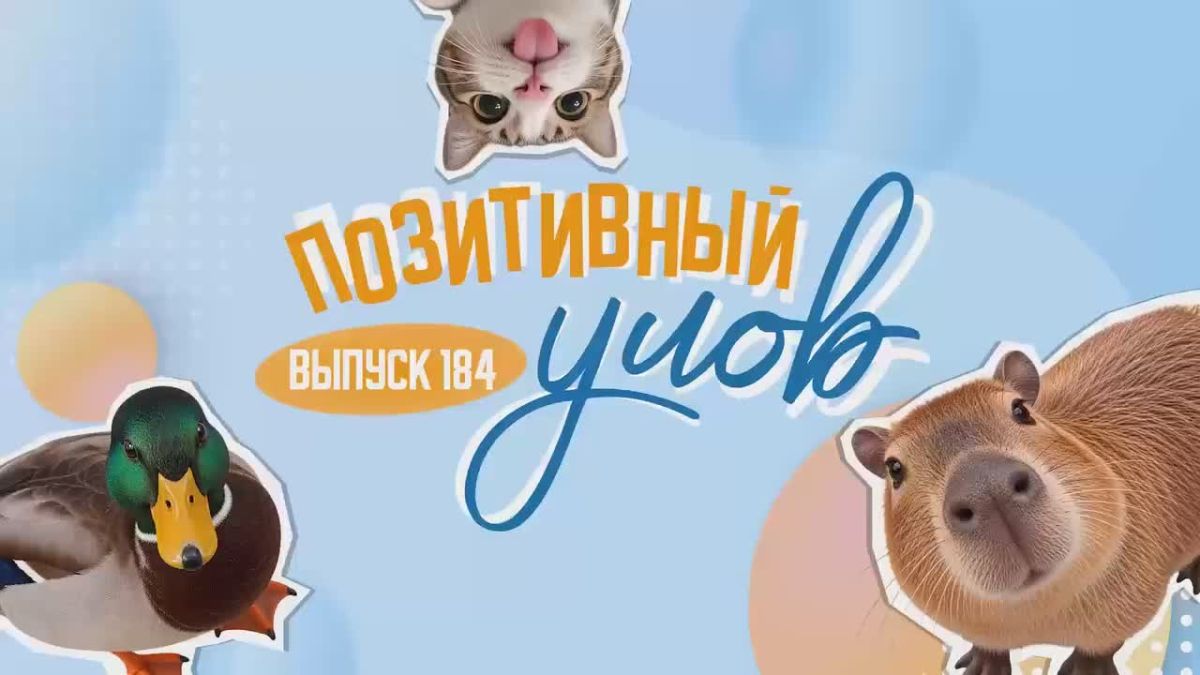 "Позитивный улов" — дайджест удивительных новостей со всего мира