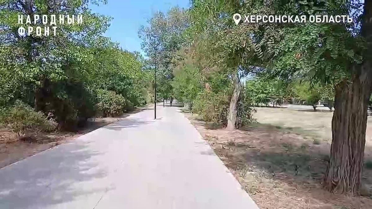 Скромный, но важный для людей результат: как Народный фронт помог пожилой женщине из Геническа