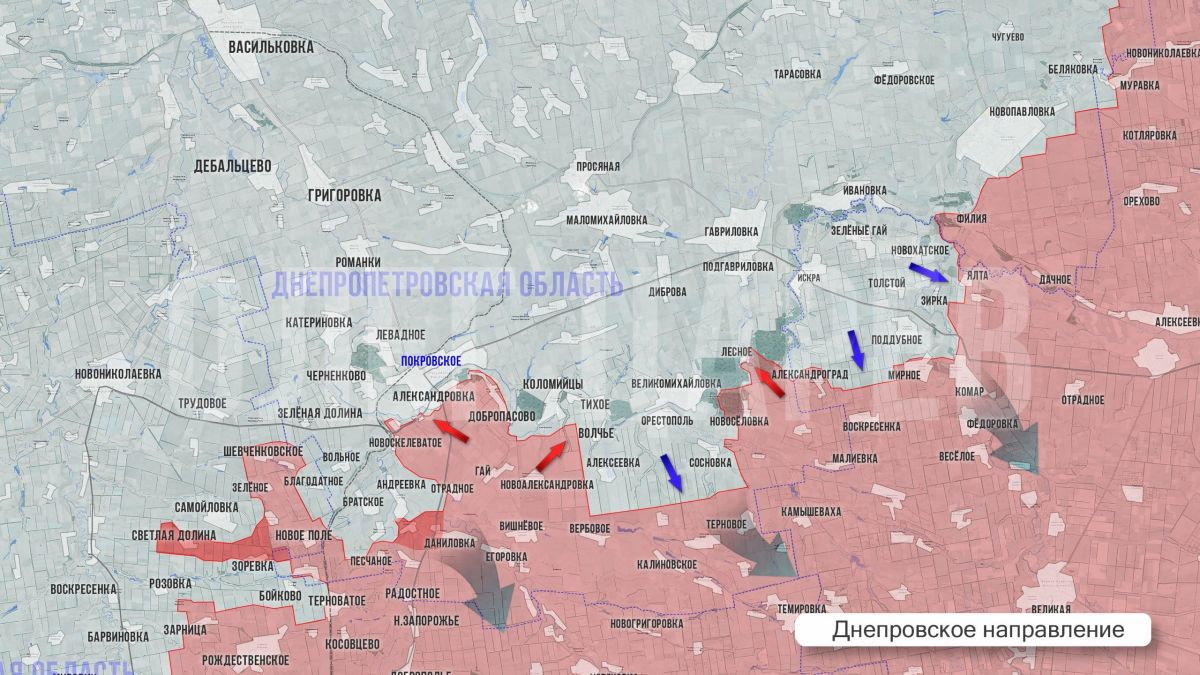 Олег Царёв: Фронтовая сводка 8 октября Олег Царёв: Фронтовая сводка 8 октября