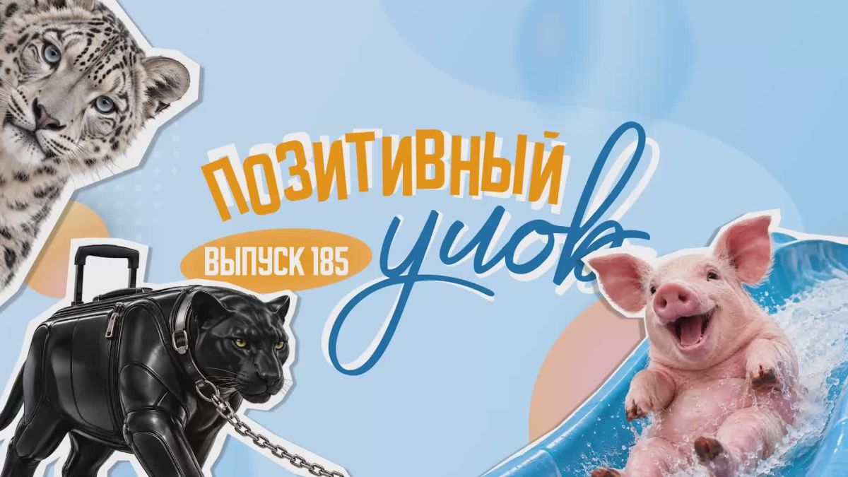 "Позитивный улов" — дайджест удивительных новостей со всего мира