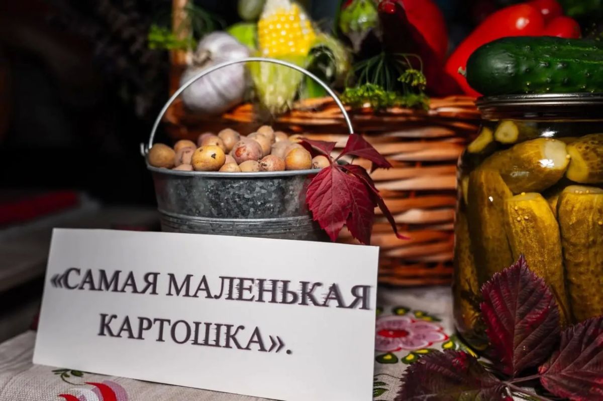 Геническ, фестиваль «Сельские рекорды» Геническ, фестиваль «Сельские рекорды»