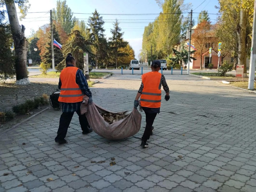 Осенние хлопоты: уборка листьев в Скадовске Осенние хлопоты: уборка листьев в Скадовске