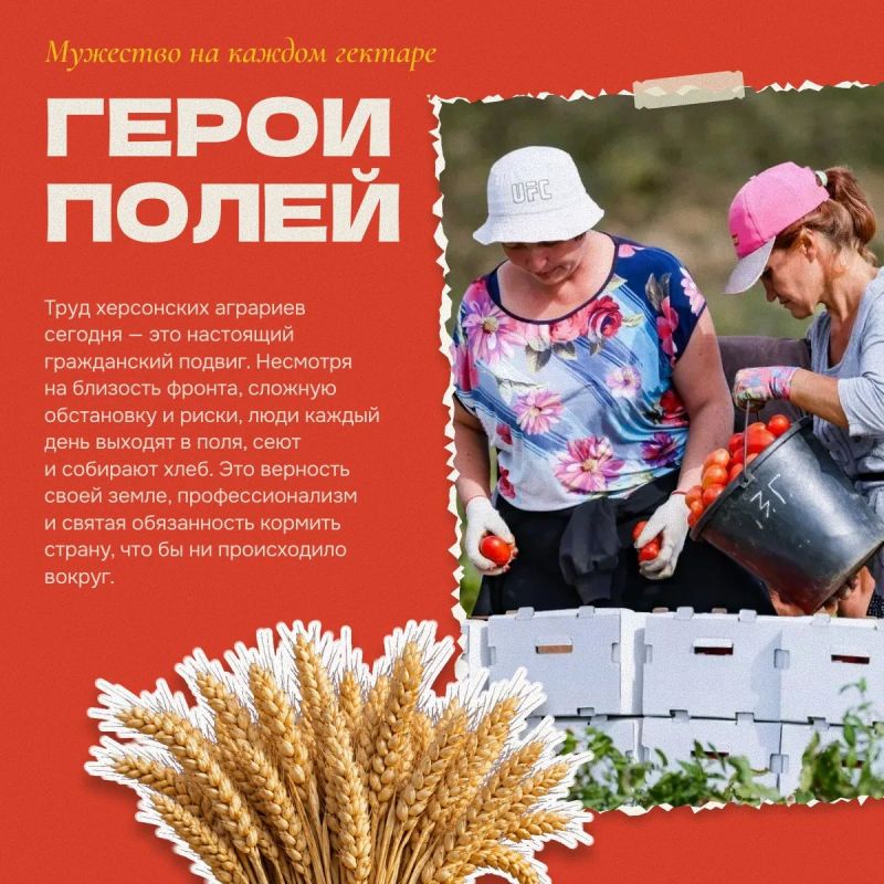 Херсонская земля кормит миллионы Херсонская земля кормит миллионы