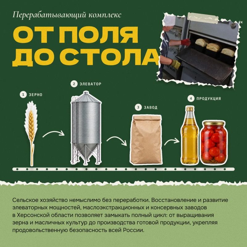 Херсонская земля кормит миллионы Херсонская земля кормит миллионы