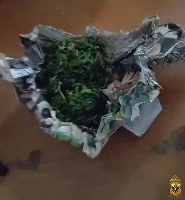 Полицейские изъяли растительный наркотик у жителя Ивановского округа Полицейские изъяли растительный наркотик у жителя Ивановского округа