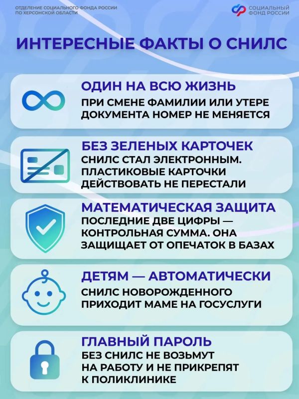 Одиннадцать цифр вашего СНИЛС — не случайный набор чисел