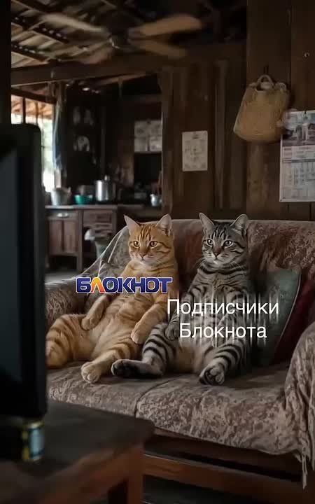 Вся Херсонская область в одном «Блокноте»!