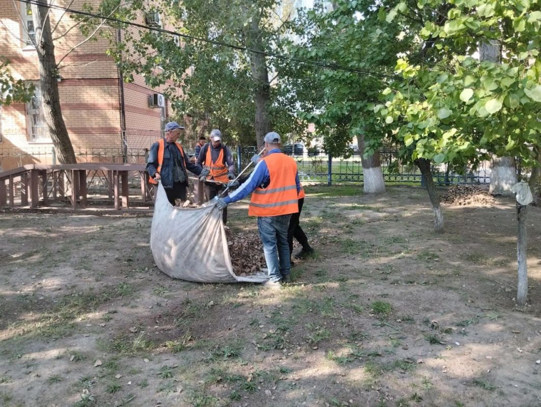Александр Дудка: В Скадовске продолжаются плановые уборки опавшей листвы Александр Дудка: В Скадовске продолжаются плановые уборки опавшей листвы