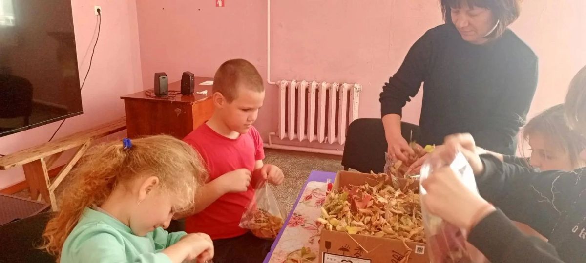 Творческая «тихая охота» за осенними листьями Творческая «тихая охота» за осенними листьями