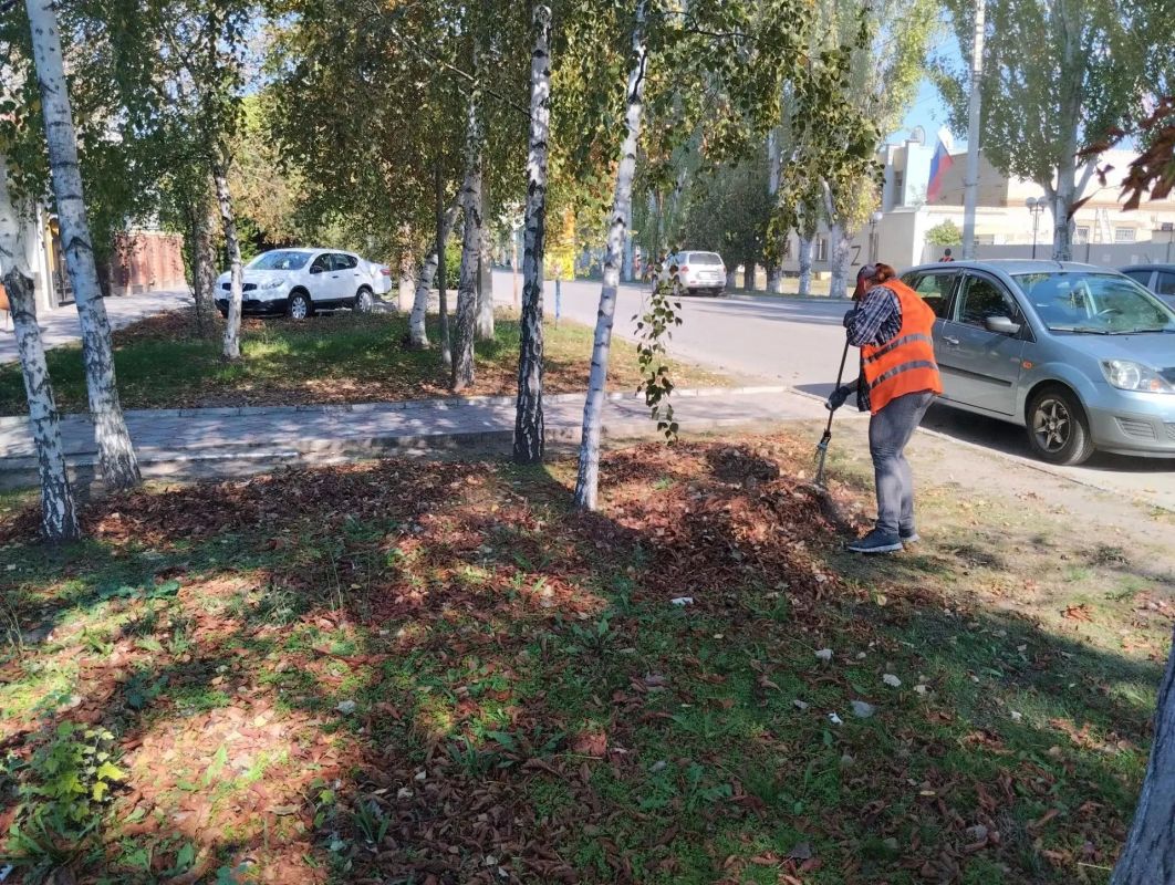В Скадовске продолжаются плановые уборки опавшей листвы В Скадовске продолжаются плановые уборки опавшей листвы