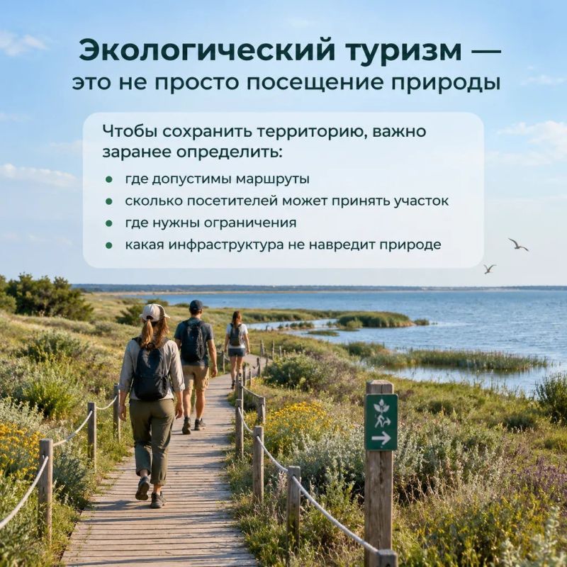 Как создаётся будущая система охраны природы Как создаётся будущая система охраны природы
