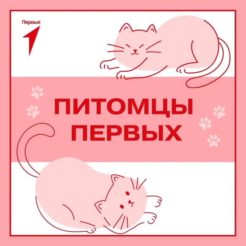 Первые и их любимцы. Друзья, сегодня в нашей рубрике — история о собаке, которая стала для своей семьи больше, чем просто питомцем